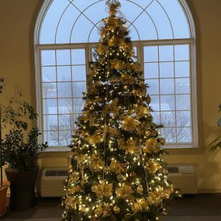 A beautifully decorated Christmas tree illuminated with warm lights, set against a large window.