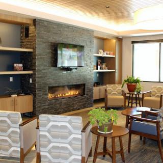 A cozy and modern living room featuring a fireplace, comfortable seating, and decorative plants.