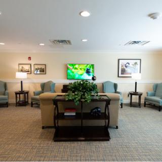 A cozy living room with a sofa, chairs, and a TV, complemented by tasteful decor and indoor plants.