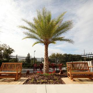 Grace Manor Suites