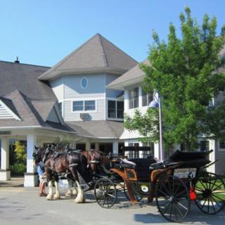 Horses and carriages parked in front of a large building on a sunny day.