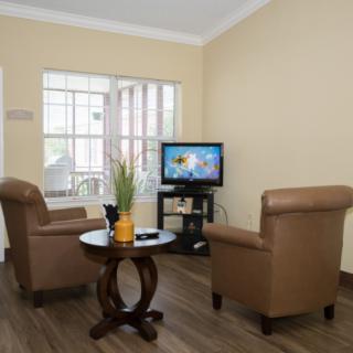 A cozy living room with two brown leather chairs facing a TV, alongside a small round table with a decorative plant, set against large windows.