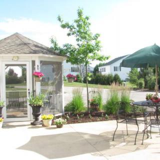 A sunny patio with a gazebo, table and chairs, surrounded by plants and flowers.