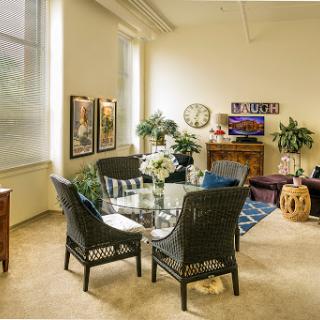 A cozy and inviting living room featuring stylish furniture, decorative plants, and artwork.