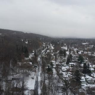 A serene winter landscape with snow-covered trees and a quiet town under an overcast sky.