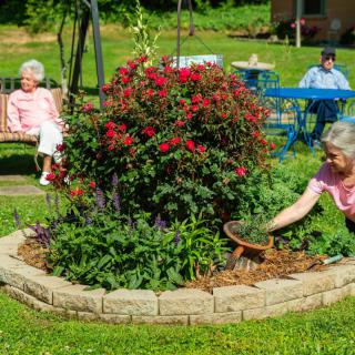 Elderly individuals enjoying a peaceful day in the garden, tending to plants and relaxing outdoors.