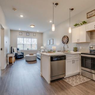 Modern open-concept kitchen and living area in an apartment with stylish decor.