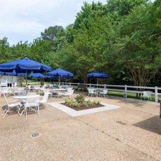 An outdoor patio with tables and blue umbrellas surrounded by lush greenery.