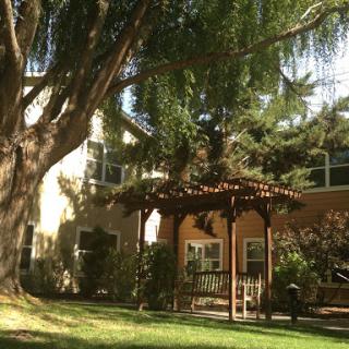 A serene outdoor space featuring a gazebo surrounded by lush greenery.
