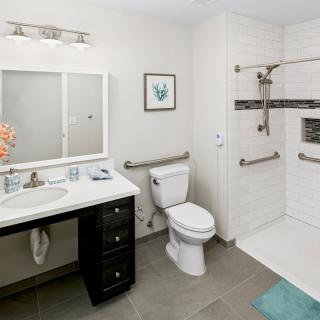 A modern, accessible bathroom with a toilet, sink, and walk-in shower equipped with grab bars.