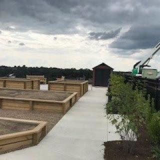 A rooftop garden with wooden planters under a cloudy sky, featuring a clear pathway and construction equipment in the background.