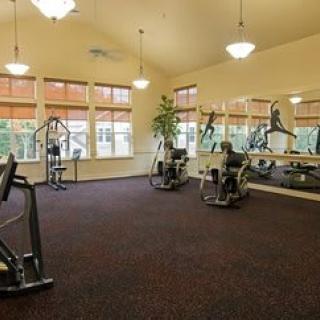 A well-equipped gym with exercise machines, mirrors, and ample lighting.