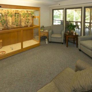 A cozy living room with comfortable seating, a large window, and indoor plants.