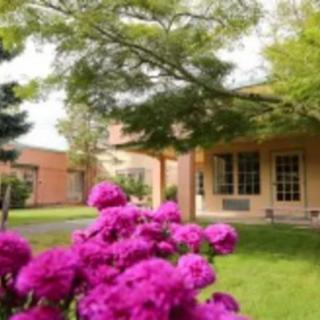A picturesque garden with vibrant pink flowers and a nearby building on a sunny day.