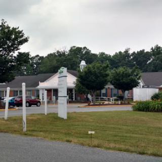 A view of a building surrounded by greenery on a cloudy day.