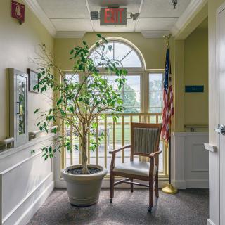 A hallway with a potted plant, wooden chair, and an American flag near a large window.