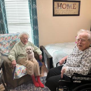 Two elderly women enjoying each other's company with a small dog in a cozy living space.