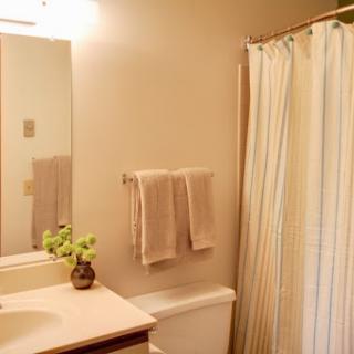 A serene and tidy bathroom featuring essential amenities.
