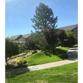 A sunny day view of a house with a garden, featuring a large tree and winding pathway.
