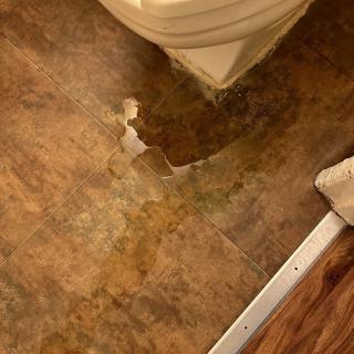 Water damage on vinyl flooring near the base of a toilet.