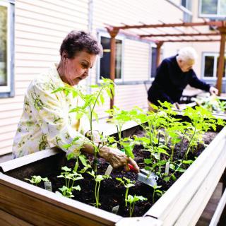 Two people tending to plants in a raised garden bed.