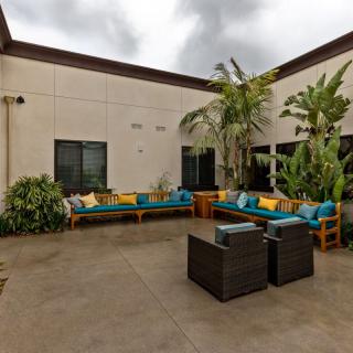 A cozy outdoor courtyard with comfortable seating and lush potted plants.