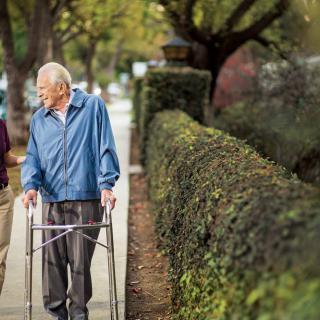 An elderly person using a walker strolls along a tree-lined sidewalk.
