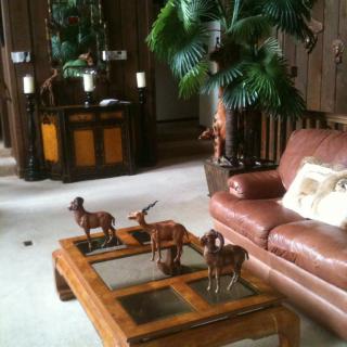 A cozy living room featuring a leather sofa and a wooden coffee table adorned with decorative figurines.