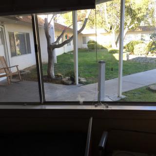 A view through a window overlooking a courtyard with grass and trees on a sunny day.