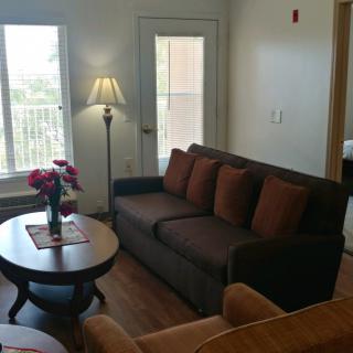 A cozy living room with a sofa, lamp, and coffee table adorned with flowers.