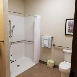 An accessible bathroom with a walk-in shower and handrails.