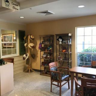 A cozy interior space featuring a waiting area with chairs and tables, illuminated by natural light through a large window. Decor includes display shelves showcasing various items and wall decorations.