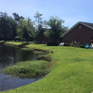 A sunny day by the lake with a house and lush greenery.