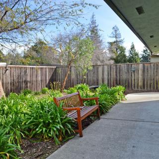 A peaceful garden patio with a wooden bench and lush greenery along the fence.
