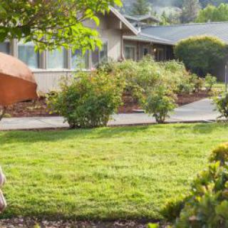 A serene outdoor view of a house with a lush green lawn and surrounding bushes.