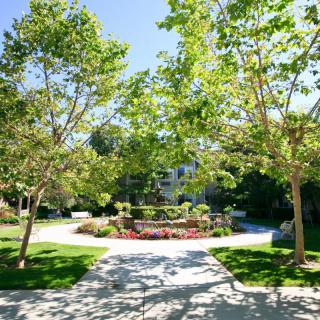 Aegis Gardens - An Asian Community