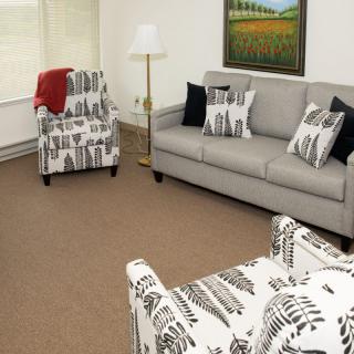 A cozy living room with a modern gray sofa, patterned armchairs, and decorative cushions.