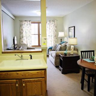 A cozy apartment with an open floor plan that combines a small kitchen and living room area.