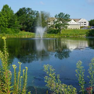 A serene pond with a fountain surrounded by lush greenery and blue skies.