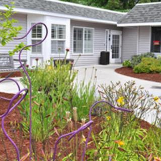 A landscaped garden in front of a single-story house with a walkway.