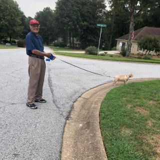 A man enjoying a stroll with his dog on a neighborhood street.