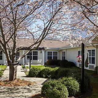 A peaceful garden scene with blossoming trees and a quaint house.