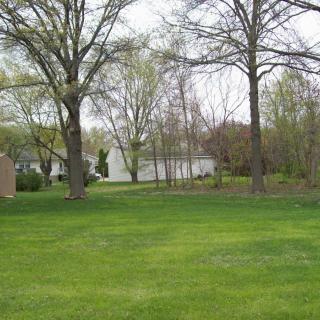A suburban yard with green grass and trees.