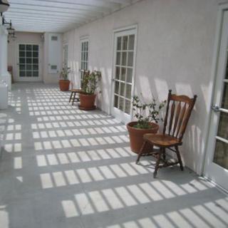 A sunlit corridor with chairs and potted plants casting shadows on the floor.