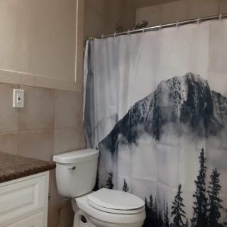 A bathroom featuring a mountain-themed shower curtain with a toilet and sink.