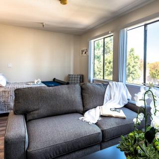 A cozy living room with a comfortable sofa, large windows letting in natural light, and greenery adding a fresh touch.