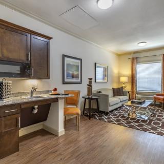 A modern living space with a kitchenette and stylish furnishings.