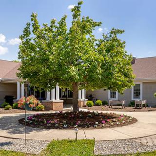 A tree stands in the center of a landscaped courtyard with a pathway, surrounded by a building.