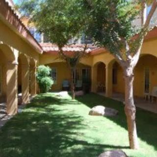 A tranquil courtyard with lush greenery and sunlight casting soft shadows.