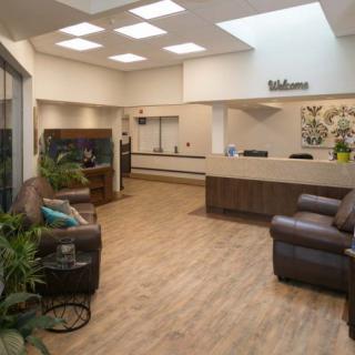 A welcoming reception area with comfortable seating and decorative plants.